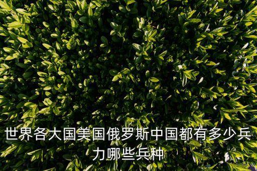 俄羅斯有多少軍隊，俄羅斯的部隊有多少