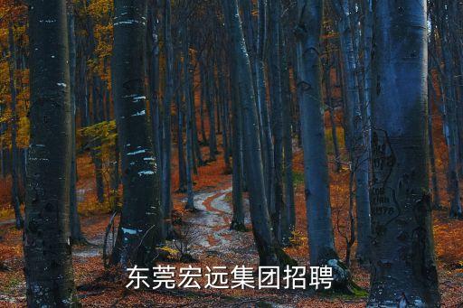 東莞宏遠(yuǎn)集團招聘