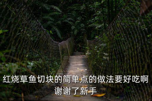 紅燒草魚塊的家常做法，草魚塊怎么做好吃紅燒草魚塊的家常做法