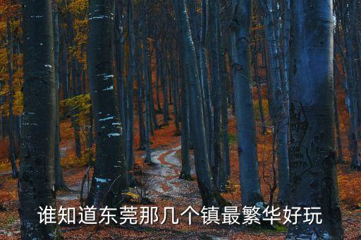 東莞麻涌繁華么，誰知道東莞那幾個鎮最繁華好玩