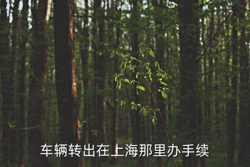 車輛轉出在上海那里辦手續