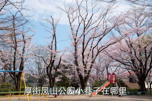 厚街鳳山公園小巷子在哪里