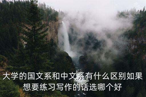 大學國文，大學的國文系和中文系有什么區別如果想要練習寫作的話選哪個好