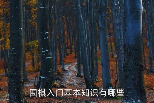 圍棋入門基本知識口訣，圍棋中有哪些用于實戰的口訣