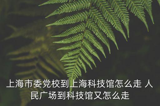 上海市委副書記 陳鐵迪，上海市委組織部科教干部處處長是誰