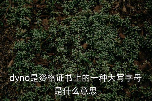 dyno是資格證書上的一種大寫字母是什么意思