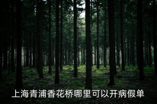 上海市開病歷單，哪里可以開上海病假單