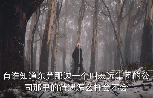 東莞宏遠集團藥業，宏遠集團在哪里