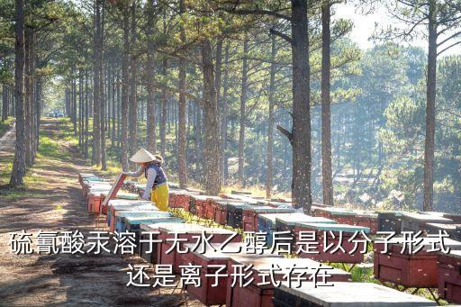 硫氰酸汞，只是什么東西求解釋求配方
