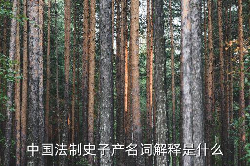 子產(chǎn)，子產(chǎn)是什么人