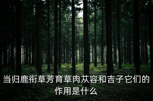 當歸鹿銜草芳育草肉蓯容和吉子它們的作用是什么