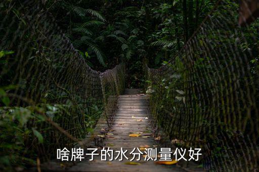 啥牌子的水分測量儀好