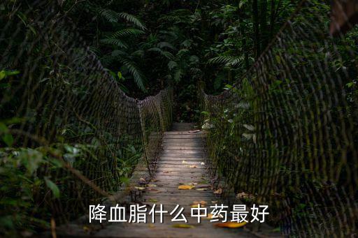 降血脂什么中藥最好