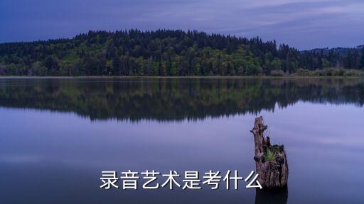 錄音藝術，錄音藝術是干嘛的