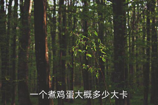 一個煮雞蛋大概多少大卡