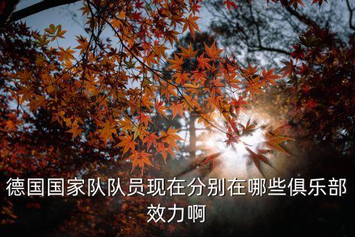 德國國家隊隊員現在分別在哪些俱樂部效力啊