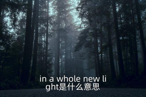 in a whole new light是什么意思