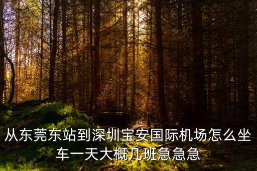 從東莞東站到深圳寶安國際機場怎么坐車一天大概幾班急急急