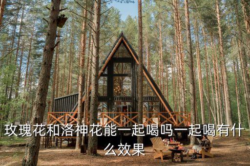 玫瑰花和洛神花能一起喝嗎一起喝有什么效果