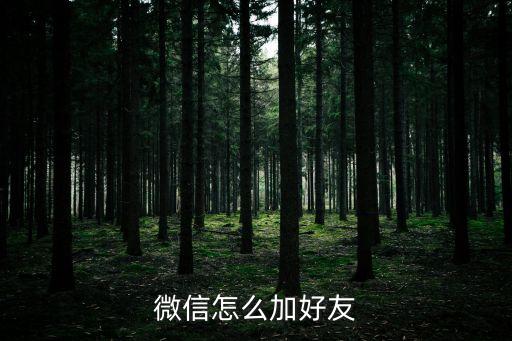 微信怎么加好友