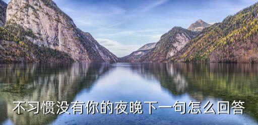 不習(xí)慣沒(méi)有你的夜晚下一句怎么回答