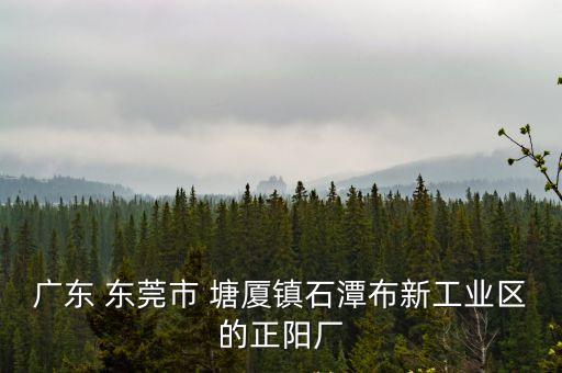 廣東 東莞市 塘廈鎮石潭布新工業區的正陽廠