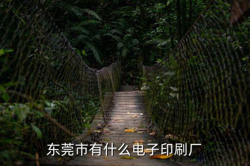 東莞合美電子，東莞電子配件