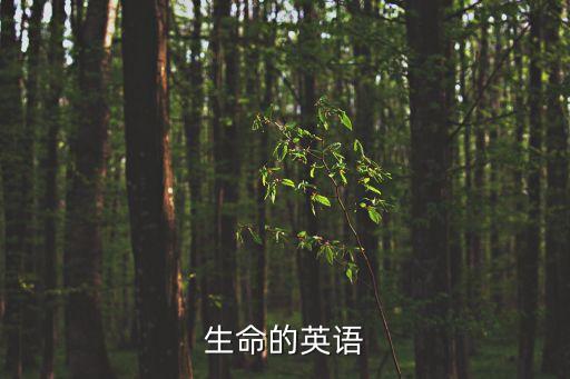 生命的英語，與healthy life有關的英文單詞有哪些