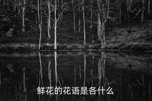 鮮花的花語是各什么