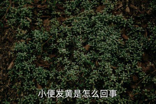 小便發(fā)黃怎么回事，小便黃咋回事