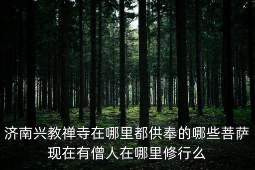 濟(jì)南興教禪寺在哪里都供奉的哪些菩薩現(xiàn)在有僧人在哪里修行么