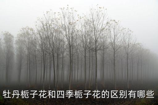 牡丹梔子花和四季梔子花的區別有哪些