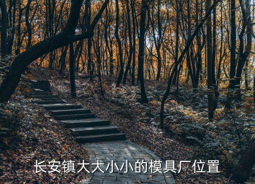 東莞鴻星塑料制品廠，長安鎮(zhèn)大大小小的模具廠位置