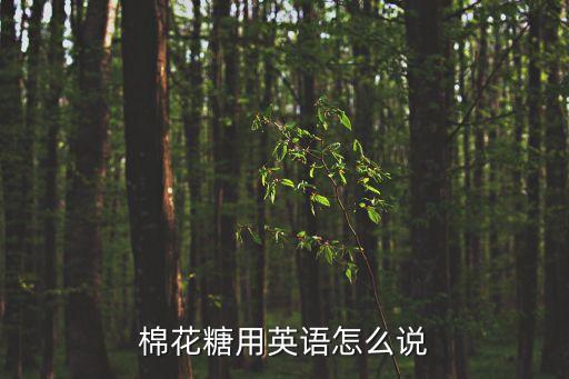 棉花糖英語，棉花糖英文版MP3