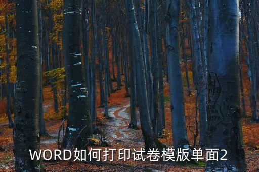 WORD如何打印試卷模版單面2