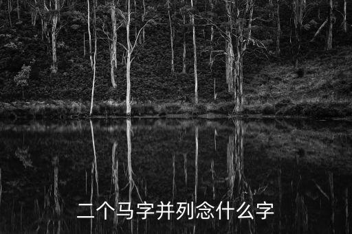 二馬，二個(gè)馬字并列念什么字
