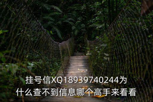 掛號信XQ18939740244為什么查不到信息哪個高手來看看