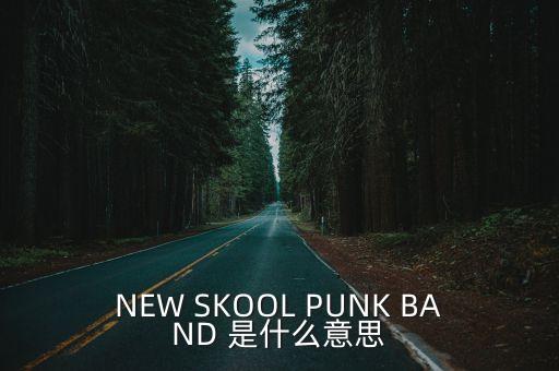 NEW SKOOL PUNK BAND 是什么意思