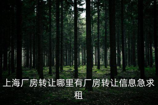 上海廠房轉讓哪里有廠房轉讓信息急求租