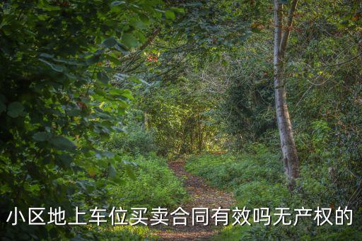 小區地上車位買賣合同有效嗎無產權的