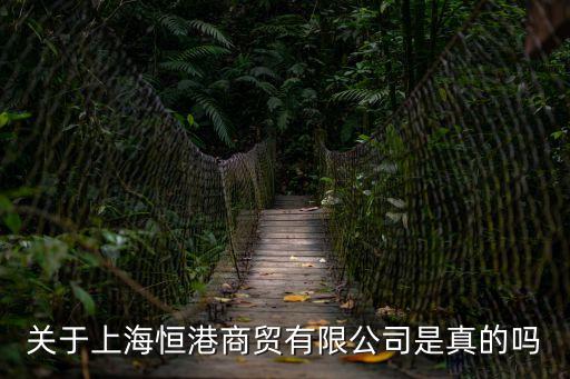 關于上海恒港商貿有限公司是真的嗎