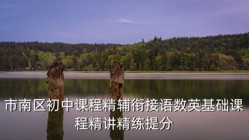 上海市市南中學數(shù)學錢慧，市南區(qū)初中課程精輔銜接語數(shù)英基礎(chǔ)課程精講精練提分
