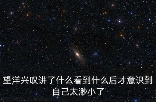 望洋興嘆講了什么看到什么后才意識到自己太渺小了