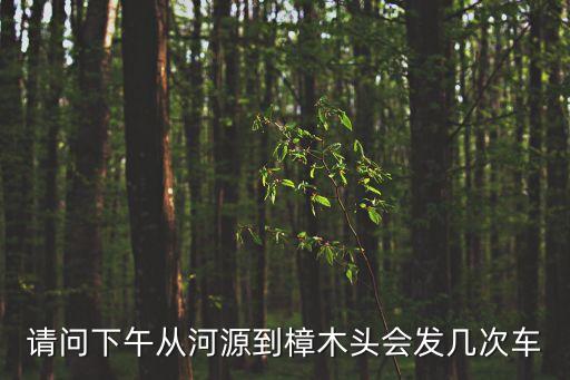 請問下午從河源到樟木頭會發幾次車