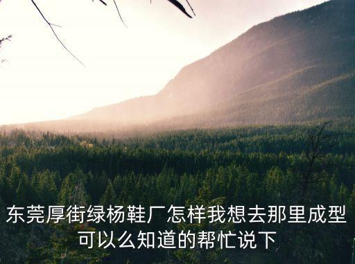 東莞綠楊鞋廠地址，誰知道東莞市厚街赤嶺工業區力凱與綠揚鞋廠怎樣