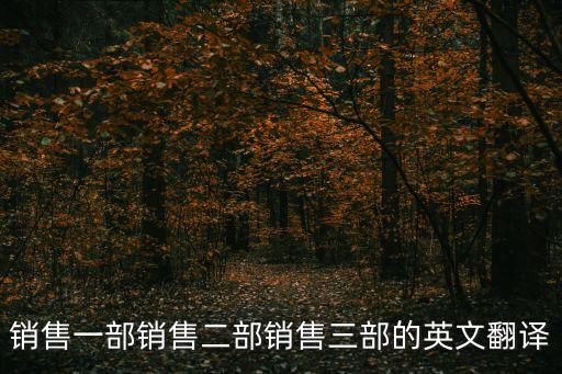 銷售部英文，銷售部的英文怎么寫