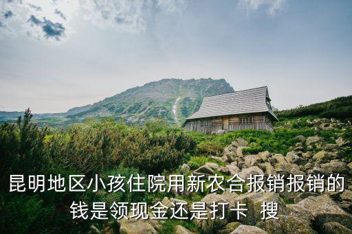 新農(nóng)合報(bào)銷范圍，新農(nóng)合報(bào)銷范圍有哪些