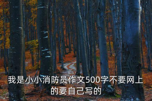 我是小小消防員作文500字不要網(wǎng)上的要自己寫的