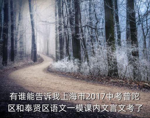 有誰能告訴我上海市2017中考普陀區(qū)和奉賢區(qū)語文一模課內(nèi)文言文考了