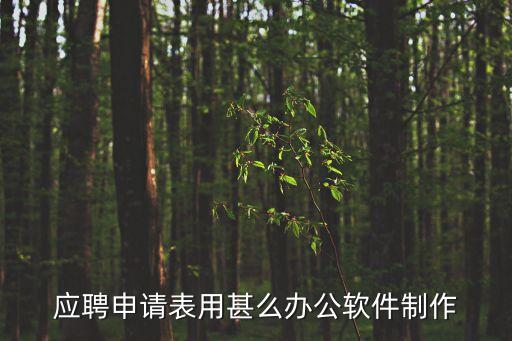 應聘申請表用甚么辦公軟件制作